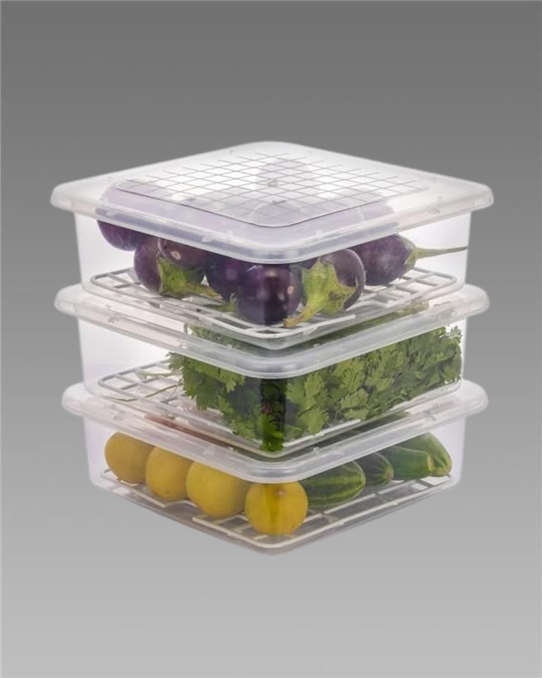 Fridge Storage Containers Box 28*20.5*5.5cm (Pack of 2)